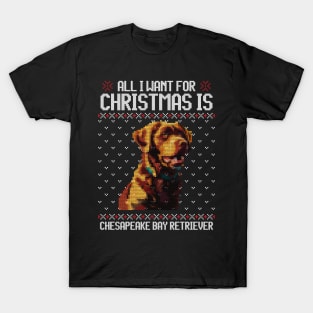 All I Want for Christmas is Chesapeake Bay Retriever - Christmas Gift for Dog Lover T-Shirt